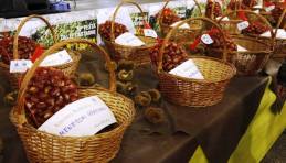 Festa delle Castagne  - Mostra mercato del Marrone DOP di San Zeno